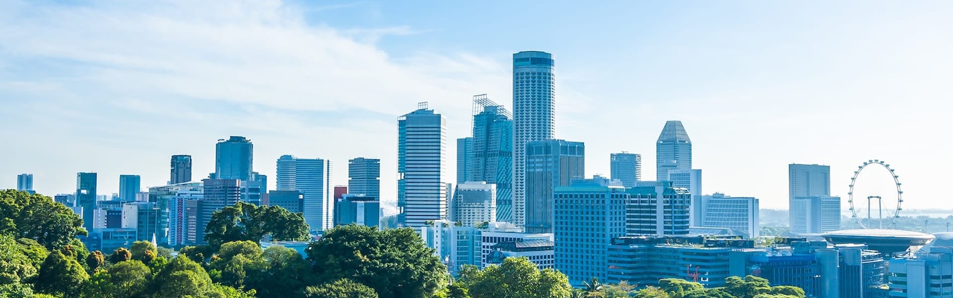 City skyline above green treetops